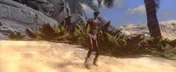 The Repopulation Screenshots