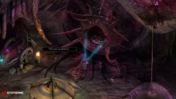 Torment: Tides of Numenera Screenshots