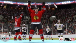 Скриншот к игре NHL 14