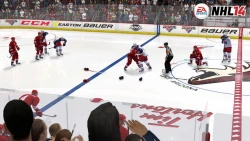 Скриншот к игре NHL 14