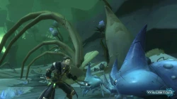 WildStar Screenshots