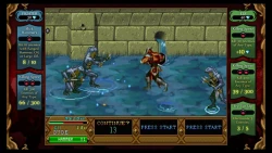 Скриншот к игре Dungeons & Dragons: Chronicles of Mystara