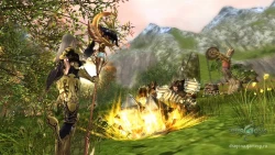 Dragona Online Screenshots