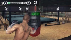 Скриншот к игре Real Boxing