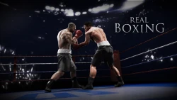 Скриншот к игре Real Boxing