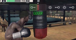 Real Boxing Screenshots