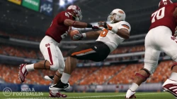 Скриншот к игре NCAA Football 14