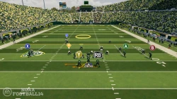 Скриншот к игре NCAA Football 14