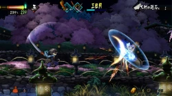 Скриншот к игре Muramasa: The Demon Blade