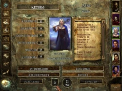 Icewind Dale Screenshots