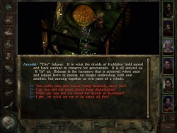 Icewind Dale Screenshots