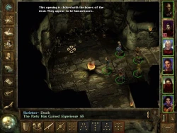 Icewind Dale Screenshots