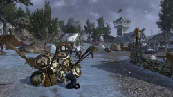 Скриншот к игре The Lord of the Rings Online: Helm's Deep