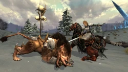 Скриншот к игре The Lord of the Rings Online: Helm's Deep