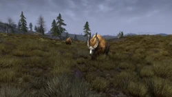 Скриншот к игре The Lord of the Rings Online: Helm's Deep