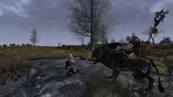 Скриншот к игре The Lord of the Rings Online: Helm's Deep