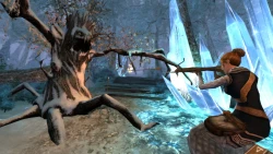 Скриншот к игре The Lord of the Rings Online: Helm's Deep