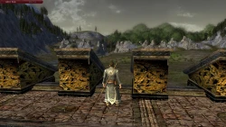 Скриншот к игре The Lord of the Rings Online: Helm's Deep