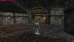 Скриншот к игре The Lord of the Rings Online: Helm's Deep