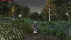 Скриншот к игре The Lord of the Rings Online: Helm's Deep