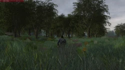 Скриншот к игре The Lord of the Rings Online: Helm's Deep