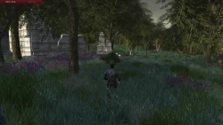 Скриншот к игре The Lord of the Rings Online: Helm's Deep