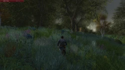 Скриншот к игре The Lord of the Rings Online: Helm's Deep