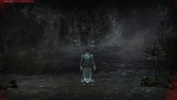 Скриншот к игре The Lord of the Rings Online: Helm's Deep