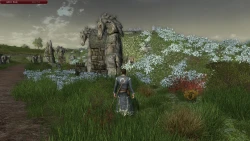 Скриншот к игре The Lord of the Rings Online: Helm's Deep