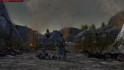 Скриншот к игре The Lord of the Rings Online: Helm's Deep