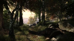 The Vanishing of Ethan Carter Screenshots