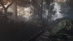 Скриншот к игре The Vanishing of Ethan Carter