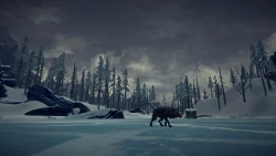 Скриншот к игре The Long Dark