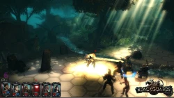 Скриншот к игре Blackguards