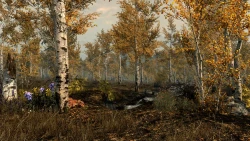 Falskaar Screenshots