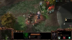 Warcraft RTS: Alliance and Horde Screenshots