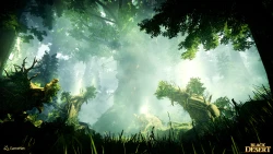 Скриншот к игре Black Desert