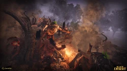 Скриншот к игре Black Desert
