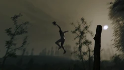 Скриншот к игре The Forest