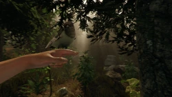 Скриншот к игре The Forest