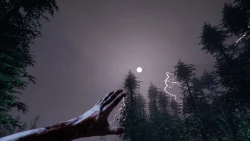 Скриншот к игре The Forest