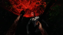 Скриншот к игре The Forest