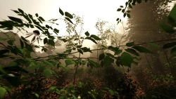 Скриншот к игре The Forest