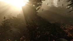 Скриншот к игре The Forest