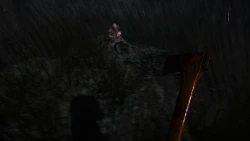 Скриншот к игре The Forest