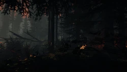 Скриншот к игре The Forest