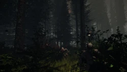 Скриншот к игре The Forest
