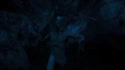 The Forest Screenshots