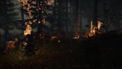The Forest Screenshots