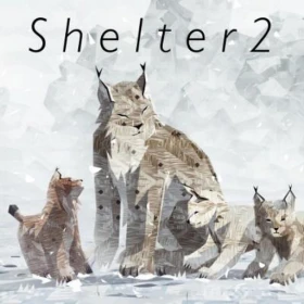 Shelter 2